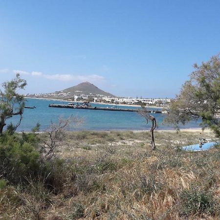 Chez Irene Sweet Pension Naxos City Екстериор снимка