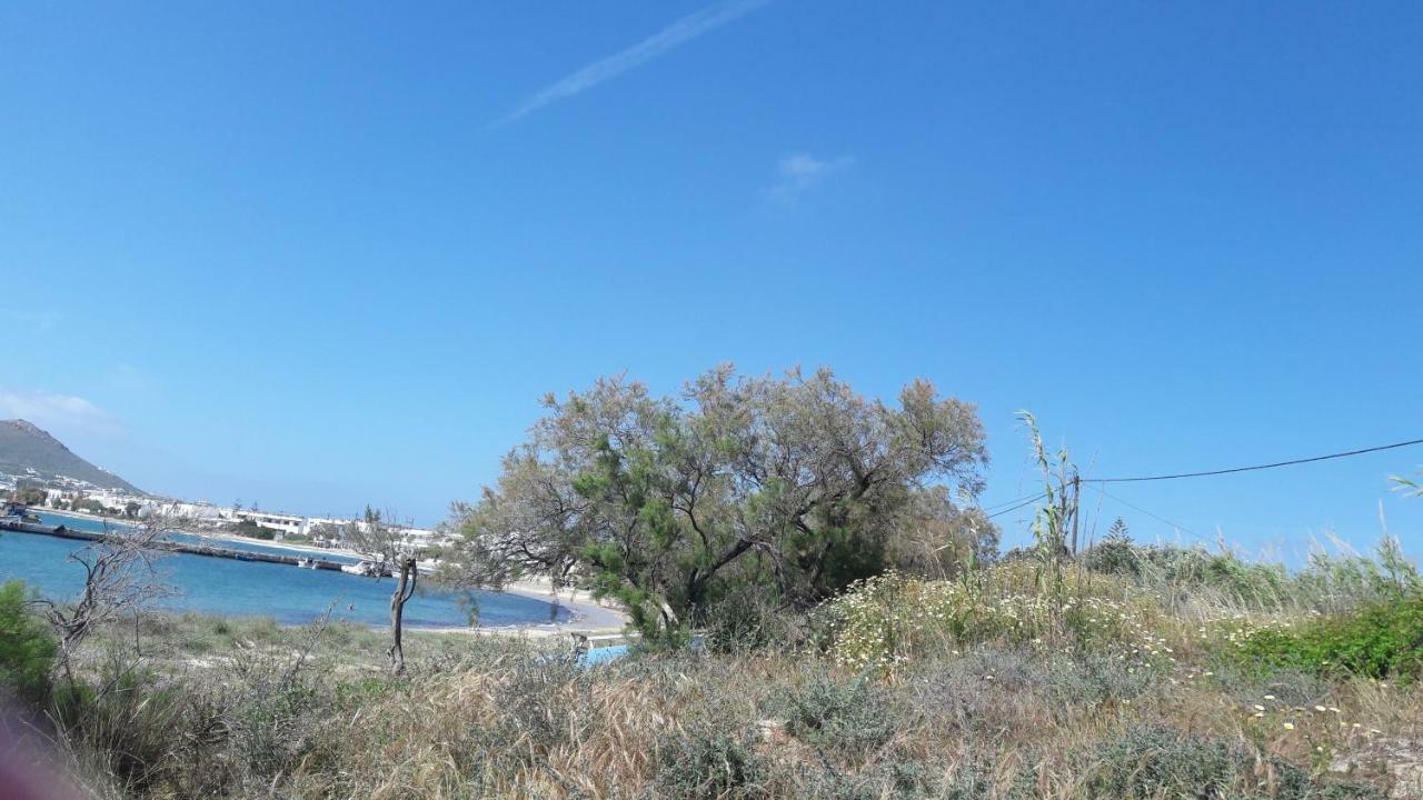 Chez Irene Sweet Pension Naxos City Екстериор снимка